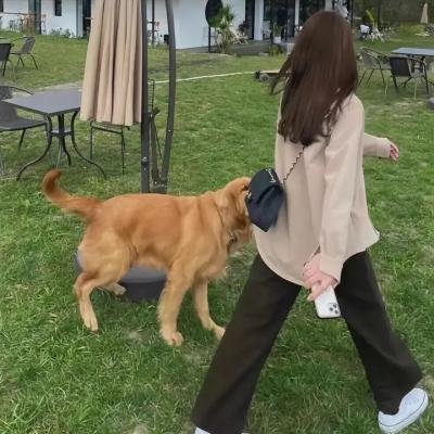 幸福街第二部